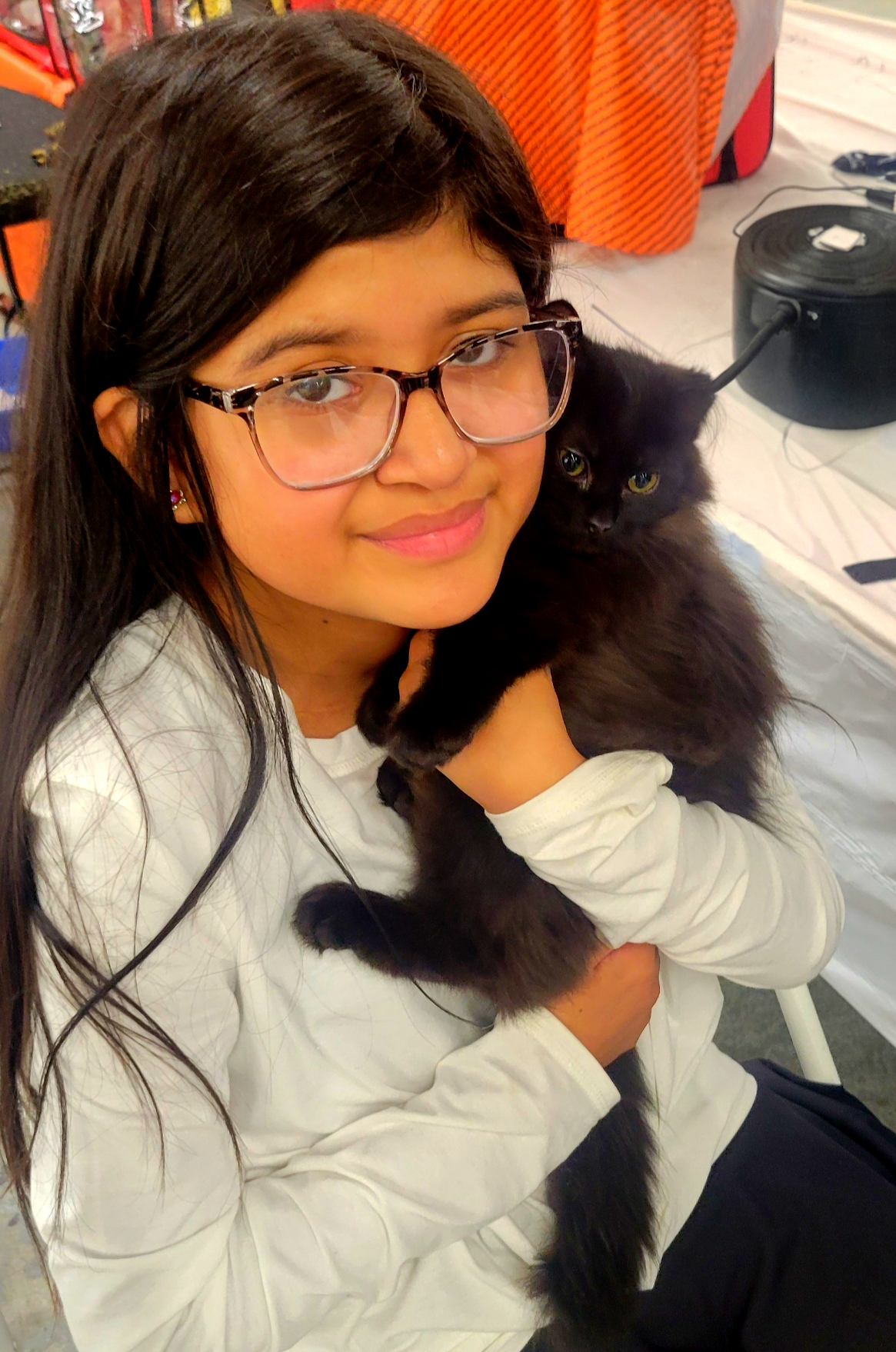 Minuet cat